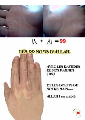 w��������